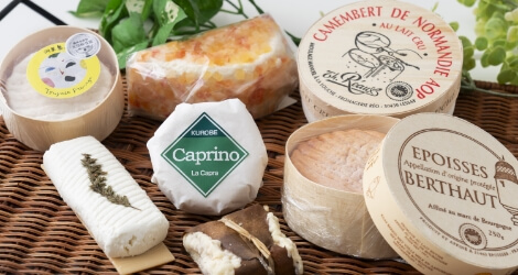 さまざまな種類のチーズ